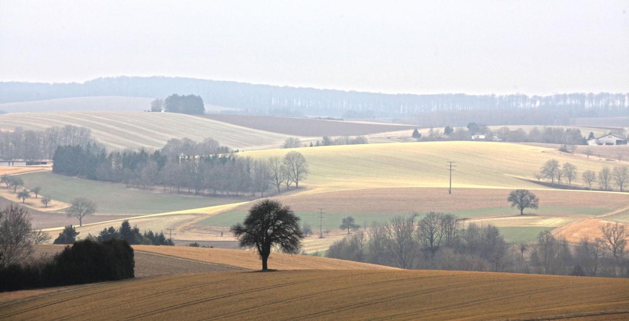 Ferienwohnung Jung Und Lind Bretten Buitenkant foto